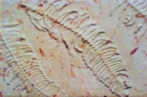 Cast glass relief 48